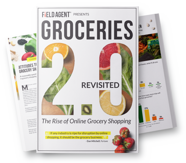 Groceries 2.0 Revisited Report Download
