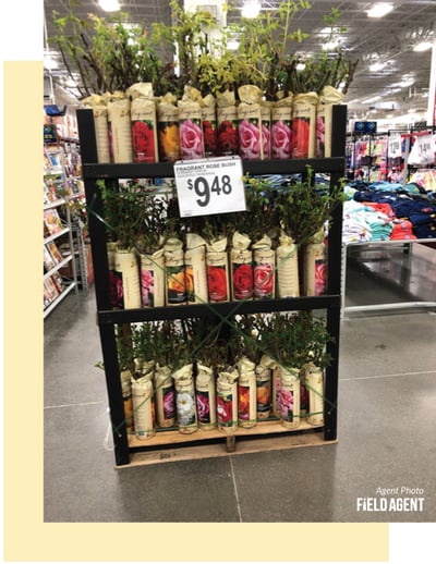Spring-Product-Displays-Agent16