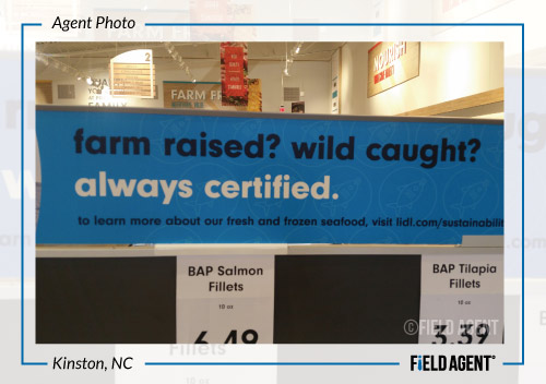 Lidl-Agent-Photo22.jpg