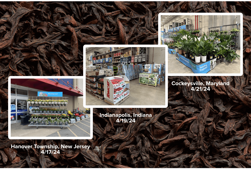 FA-6 Outdoor-Srping Lawn and Garden
