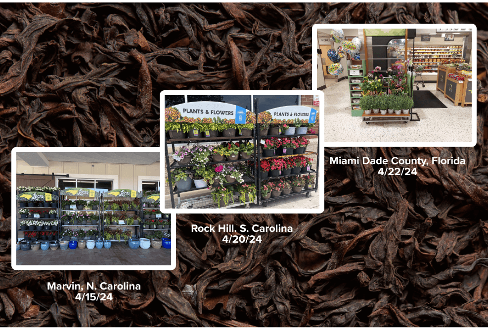 FA-8 Outdoor-Srping Lawn and Garden